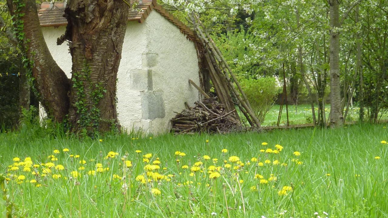 Le Logis Alexandra Bnb La Trimouille Zewnętrze zdjęcie